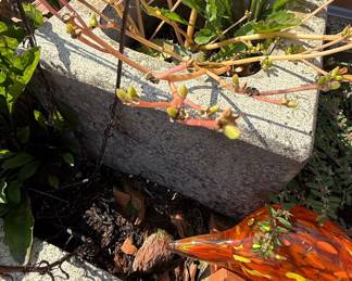 Concrete Pedestal Planter Style