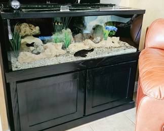 AVAILABLE FOR PRESALE!!!! 6 Cichlid fish plus 1 mature Pleco. SOLD AS A SET with tank, and all accessories. BUYER IS RESPONSIBLE FOR MOVING .