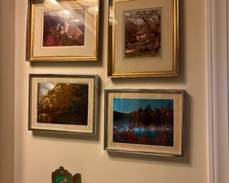 Beautiful Pictures
