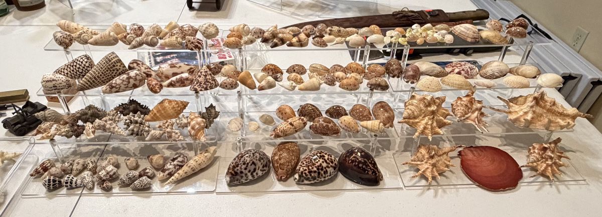 Lots of shells brought back from Guam after WWII