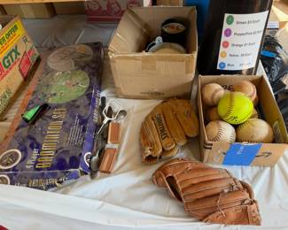 softball mitts, balls, badmitton set