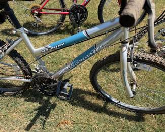 Roadmaster bikes