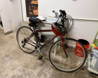 Raleigh bike