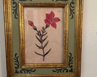 Vintage Botanical Illustration Print - Red Flower