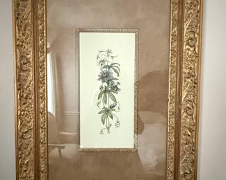 Vintage Framed Botanical Print of Passionflower by Ellen