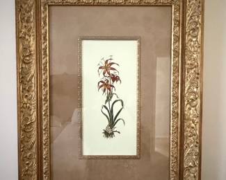 Framed Botanical Print of Red Lilies by Pierre-Joseph Redouté