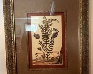 Framed Botanical Print - Astragalus & Trigonella