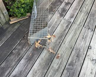 animal trap