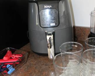 Ninja Fryer