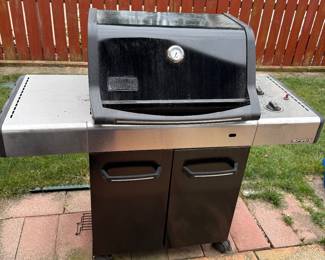 Weber Grill