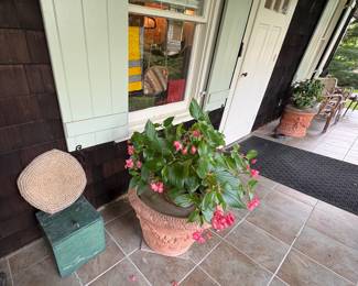 Planters & Flowers