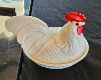 Hen on Nest