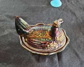 Hen on Nest
