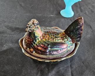 Hen on Nest