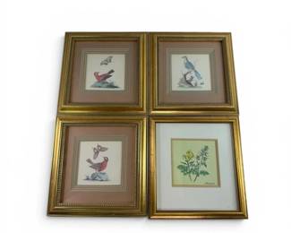 Vintage Bird Prints in Gold Frames