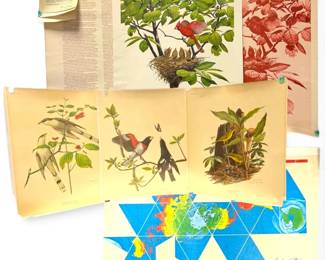 Vintage 1970s Ray Harm Bird Prints  1970s Dymaxion Projection World Map