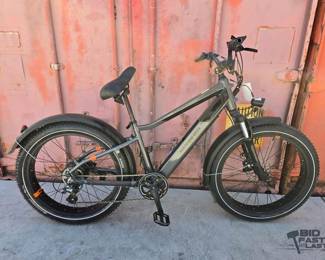 44  Rad Power Bikes EBike