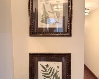Beautiful Prints