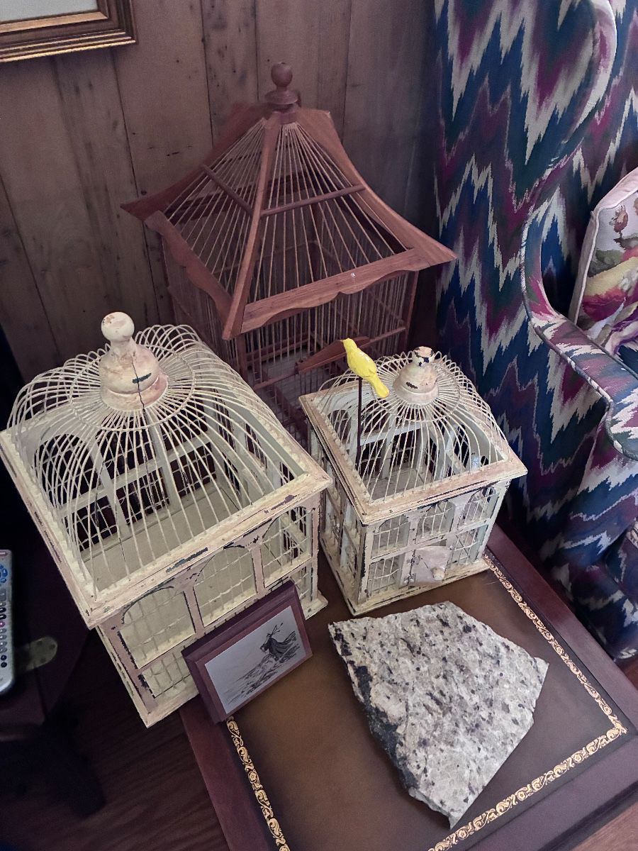 Decor bird cages