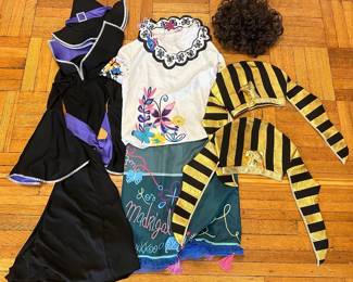 Costumes: Witch (Girls Medium), Encanto (womens Large), 2 Egyptian Pharoah Hats & Wig Lot #: 121