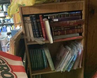 Bookcase and books