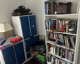 Bookcase and books