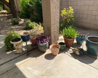 Pots Some With Plants