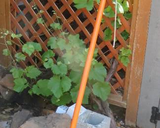 Tree pruner