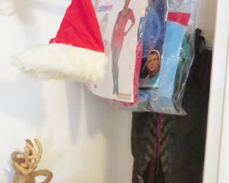 Halloween costumes - adult sizes