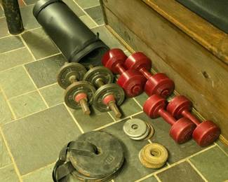 133 assorteddumbbellsandextraweightplat