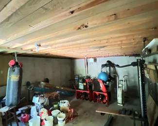 081 basementpickerlotno2weightssnowblo
