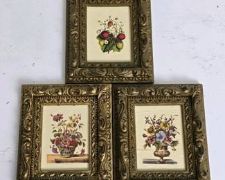 351 setofthreeframedminiaturefloralcan