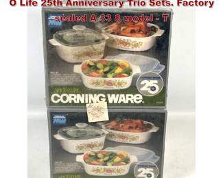 Lot 1651 2 sets Vintage Corning Ware Spice O Life 25th Anniversary Trio Sets. Factory sealed A 33 8 model  T
