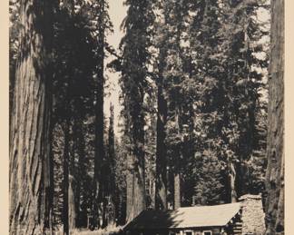 248 Dain L. Tasker (1872-1964) "Mariposa Grove, Sequoia Nat'l Park," 1918 Gelatin silver print on paper mounted to paperboard From the edition of unknown size Signed, titled, and dated in pencil on the paperboard mount, just below the sheet: Dr. Dain L. Tasker 1918 Image: 11 7/8 x 9 5/6 in.; Mount: 18 1/8 x 14 1/8 in. Estimate: $200 - $300