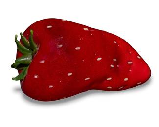 141 Flora C. Mace (b. 1949) & Joey Kirkpatrick (b. 1952) A blown glass strawberry, late 20th century Unsigned Height 6 7/8 in., width 12 1/2 in., depth 7 in. Estimate: $600 - $800