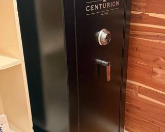Fabulous NEW gun safe