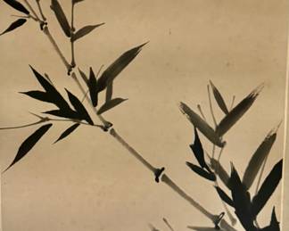 Original Japanese ink
