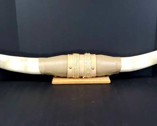 Mounted Steer Horns