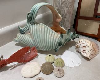Large hull seashell and pretty items from the beach.