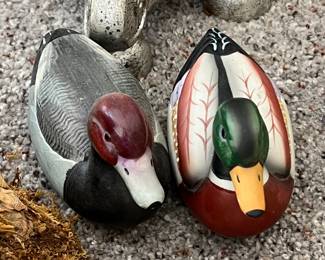 Ducks 