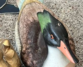 Duck 