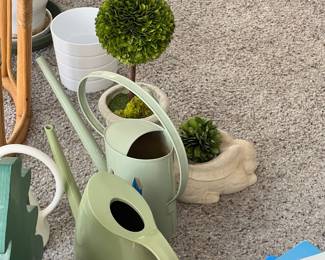 Water pitchers 