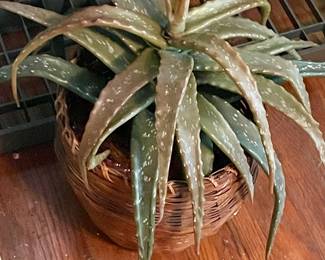 FAUX ALOE VERA PLANT IN BASKET
