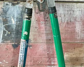 EXTENDABLE HANDLE PRUNER