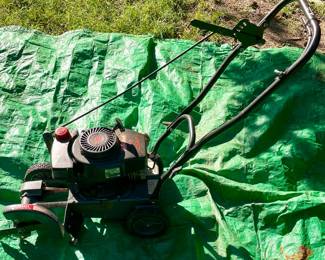 CRAFTSMAN 3.5 HP LAWN EDGER