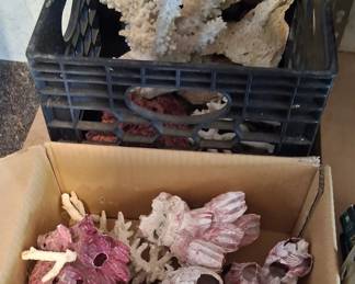CORAL