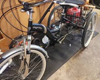 Bayside Adult Tricycle w/ Rear Cargo Basket