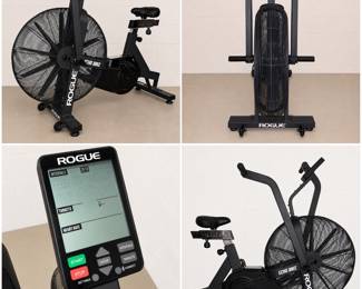 Rogue Echo Bike V3 Class SC