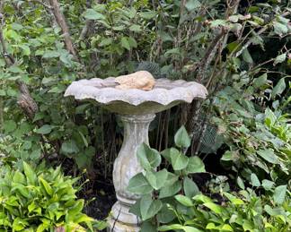 Cement Bird Bath