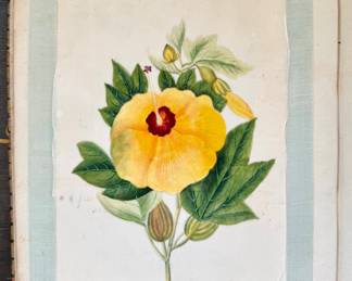 detail